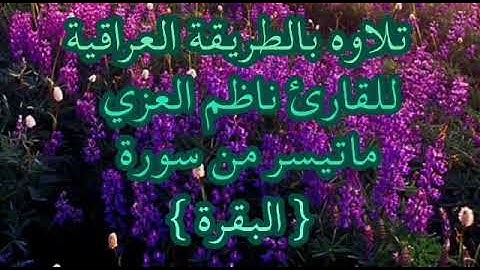القارئ ناظم العزي ماتيسر من سورة البقرة