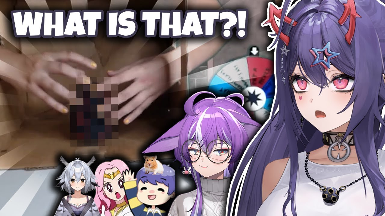 IRL Numi попыталась угадать, что в коробке при участии The Roomies и Michi!