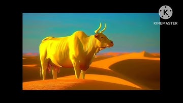 قصة بقرة بني اسرائيل مع سيدنا موسى عليه السلام.             سورة البقرة ، سورة و قصة وعبرة
