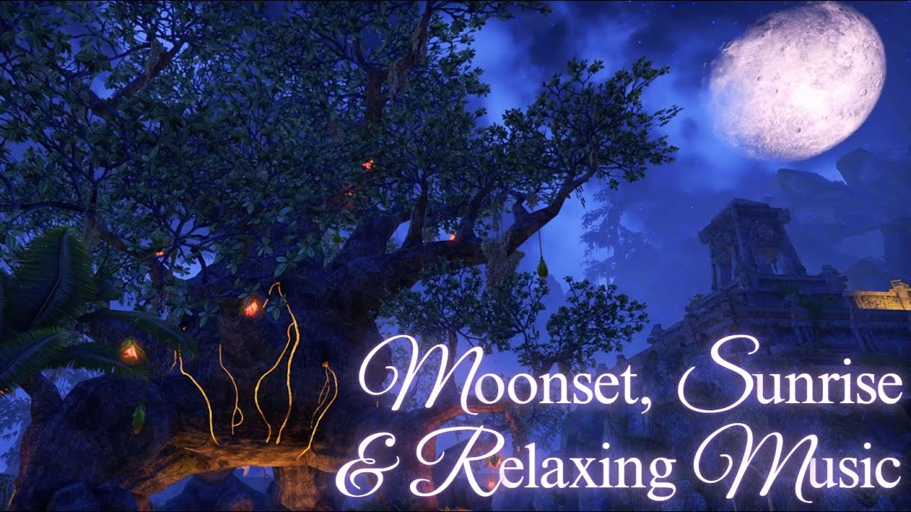Beautiful Music, Moonset & Sunrise over the Great Hist Tree || Scene ...
