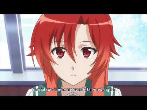 Get Dakara Boku Wa H Ga Dekinai Episode 1 Youtube HD Get Wallpaper Dakara Boku Wa H Ga Dekinai Episode 1 Youtube Desktop Wallpaper Free