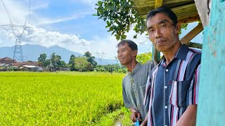 Theres A Riot Going On 