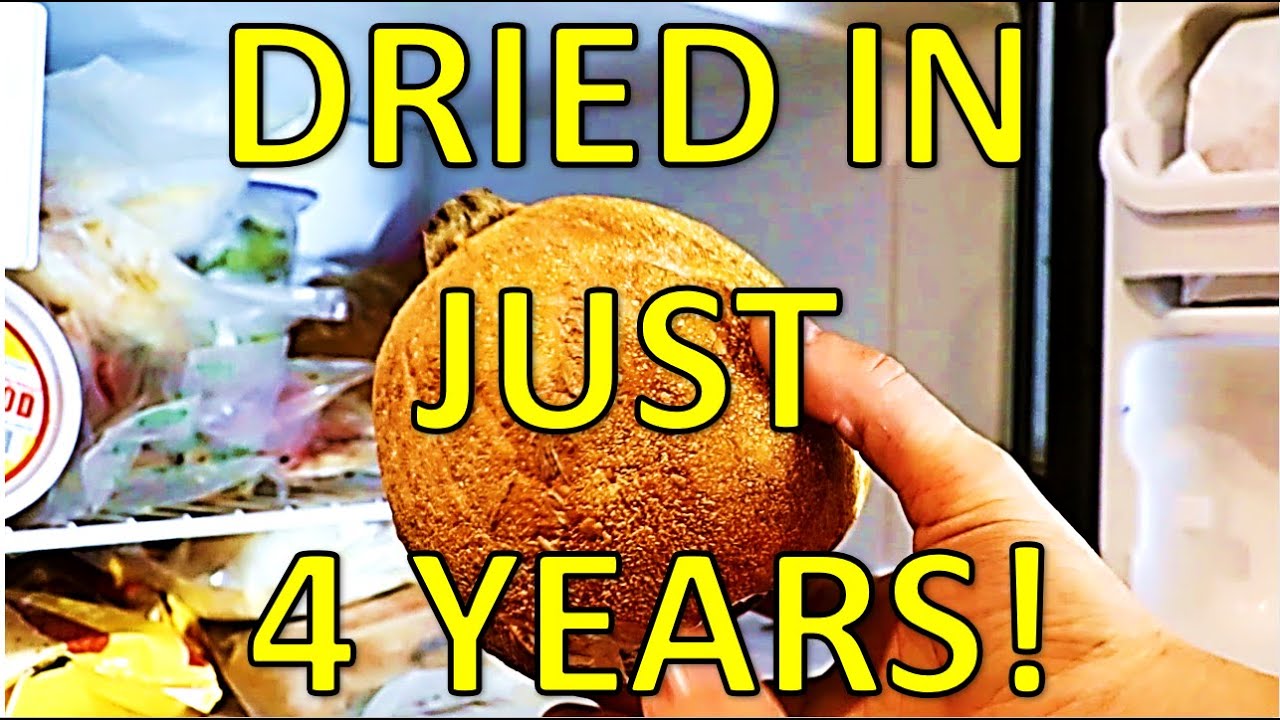 Freeze-Drying a Pumpkin Without a Vacuum Chamber