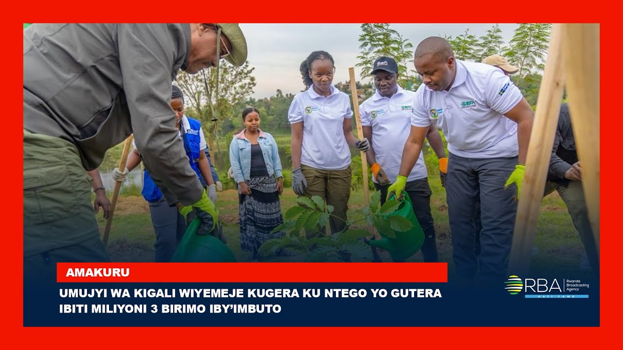 Umujyi wa Kigali wiyemeje kugera ku ntego yo gutera ibiti miliyoni 3 ...