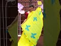 LINEN COTTON SAREES | POP | Pothys