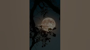 سورة_النساء  آية ٦٠||حالات واتس قرآن || تلاوة #مشاري_العفاسي