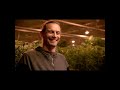 Cannabis Breeding 101: Belushi's Flower Insemination #growingbelushi #jimbelushi  #cannabisheals