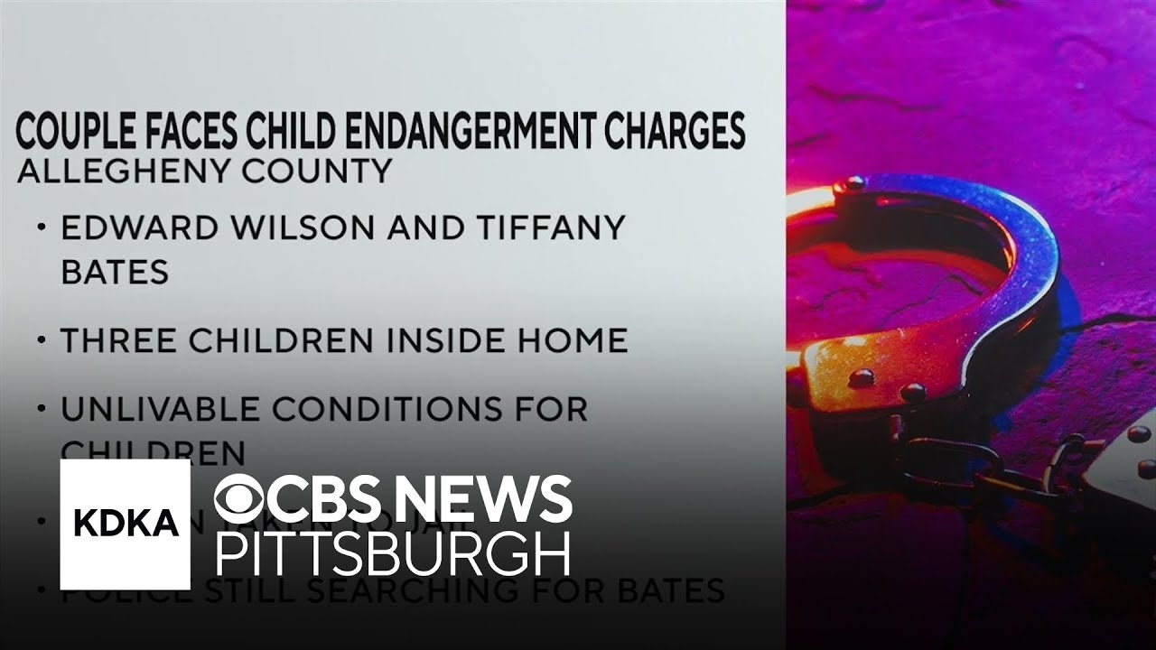 Allegheny County couple faces child endangerment charges - YouTube