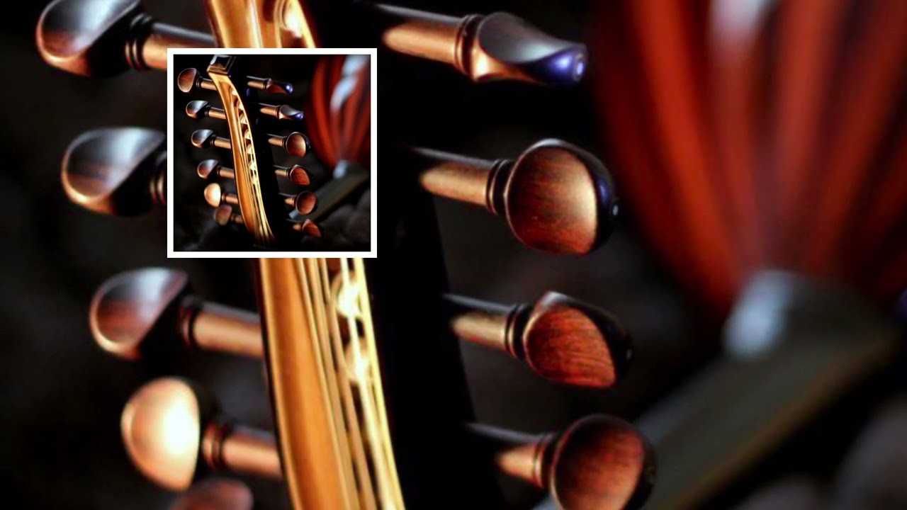 موضي الشمراني  وابي من هلخبر