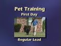 How to install a radio fence pet containment system installation training and troubleshooting