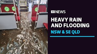 SE Qld, NSW see 'scary' amount of rain as severe weather hits coast | ABC News