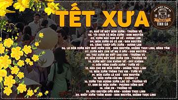 NHẠC XUÂN 2024 - NHẠC TẾT 2024 THỜI XƯA - 20 BÀI NHẠC XUÂN XƯA CHỌN LỌC HAY NHẤT