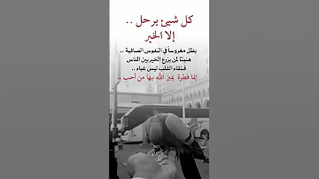 نقاء القلب ليس غباء الحب القلب الصافي 