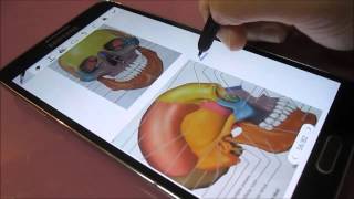 How I use the Galaxy Note 3 to take better notes at university screenshot 2