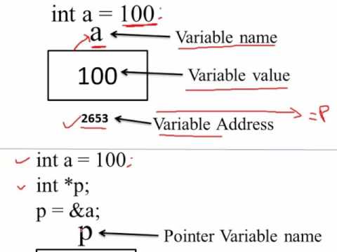 140. Introduction of Pointer in C Programming (Hindi)