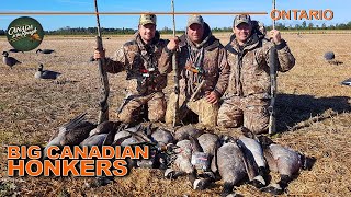 Hunting HUGE Canadian Honkers with Bud Fisher | Canada in the Rough
