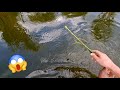 УЛОВИСТАЯ СНАСТЬ НА АМУРА + НАЖИВКА КОТОРУЮ НЕ ПРОЙДЁТ МИМО!!!