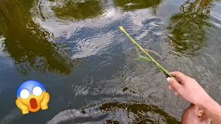 УЛОВИСТАЯ СНАСТЬ НА АМУРА + НАЖИВКА КОТОРУЮ НЕ ПРОЙДЁТ МИМО!!!