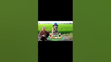 Bà và Capybara | Capy thử thách ăn hết 10 xiên bẩn và cái kết... #capybara #funny #mukbang #shrots