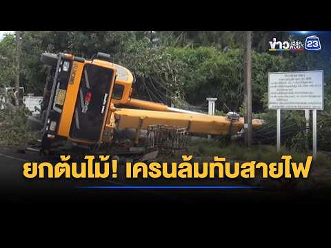 YT 13 Lifting a 100-Year-Old Tree! Crane Collapses Onto Power Lines