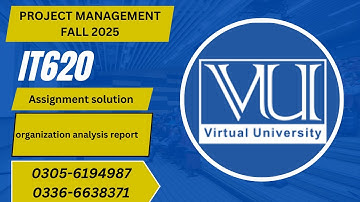 IT620 Organization Analysis Report Assignment Solution  Approval of Internship Organization