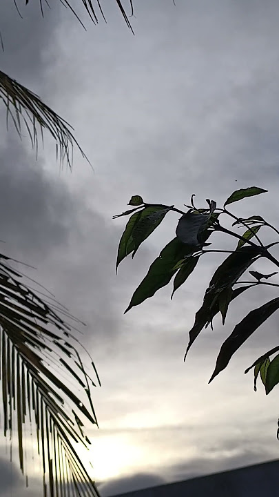 #allahumasolialamuhammad #egzonibrahimi #nature #cintasholawat.