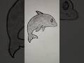 Dolphin Drawing drawing shorts sketch dolphindrawing 