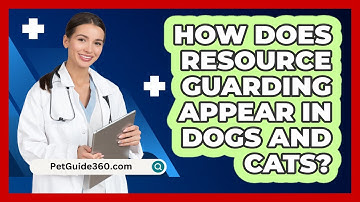 How Does Resource Guarding Appear In Dogs And Cats? - PetGuide360.com