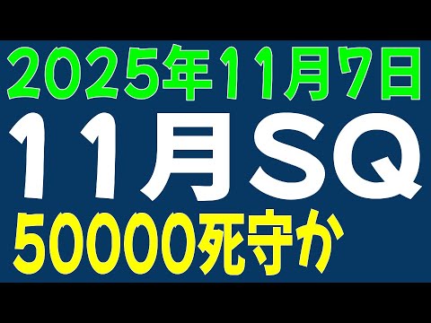 11/7 日経平均先物 オプション　11月SQ　50000死守？