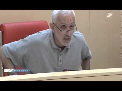 მურმან დუმბაძის გამოსვლა პარლამენტში, მუხრან ვახტანგაძის დანიშვნასთან დაკავშირებით