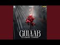 Gulaab