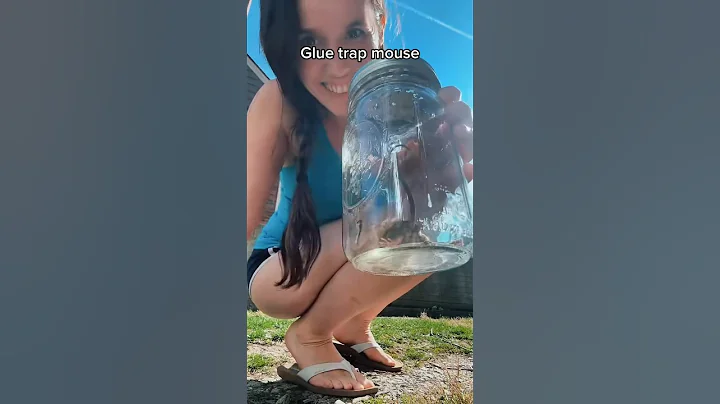 NEVER use a glue trap!