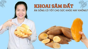 Củ khoai sâm đất có tác dụng gì? Cách dùng thế nào? Ai không nên ăn củ sâm đất?