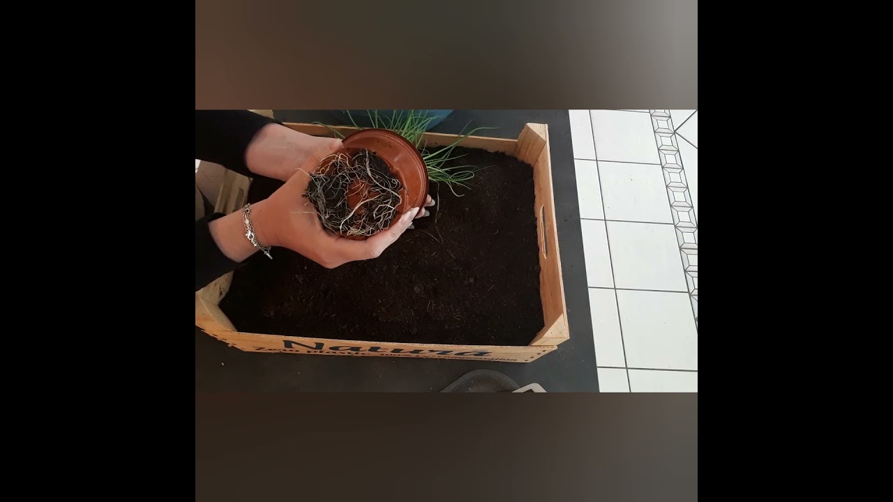DIY jardinière pour balcon en récup cagette