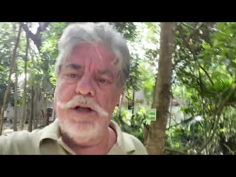 Equinox and bees