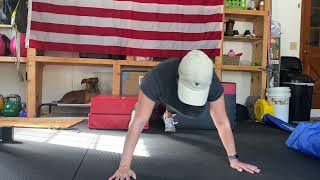 Lateral Push up Position Hand Walks