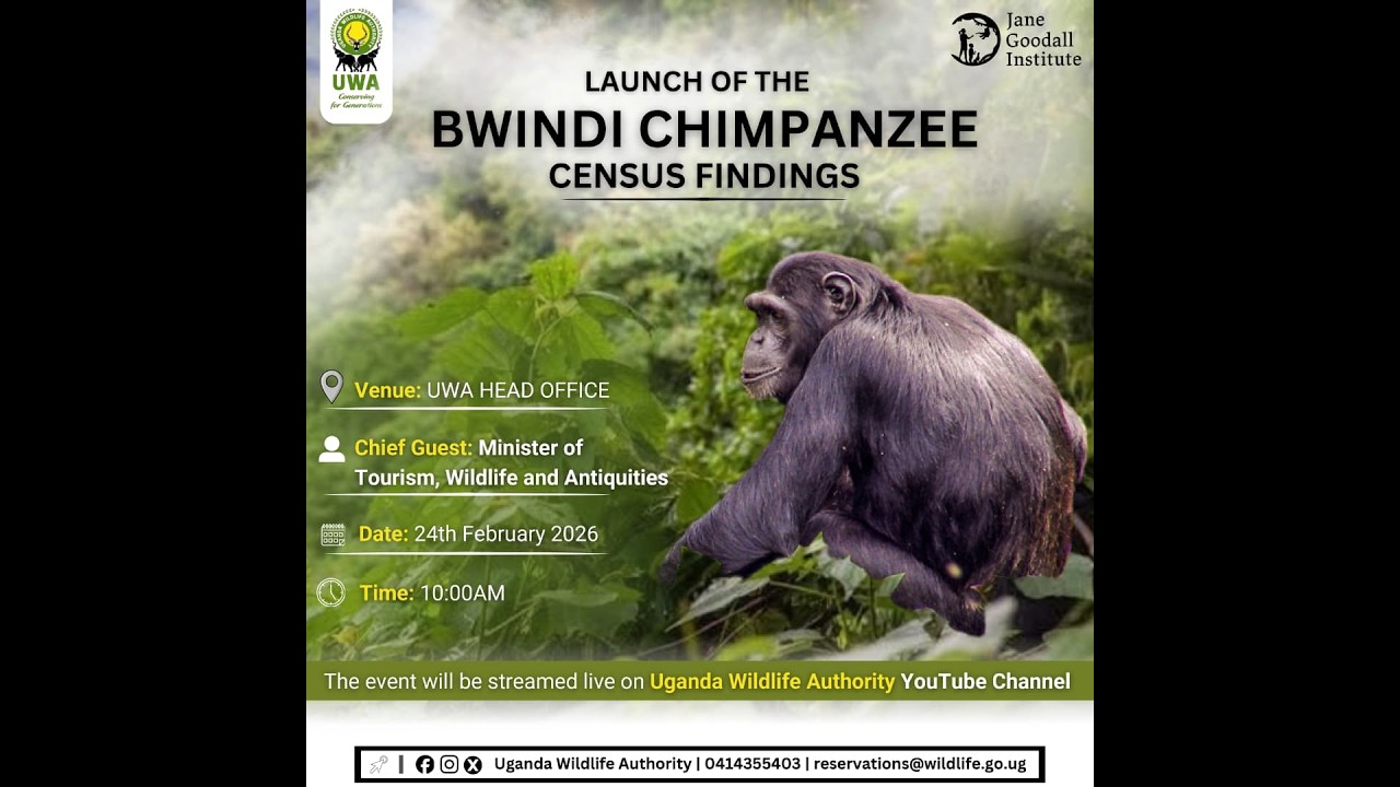 LAUNCH OF THE BWINDI CHIMPANZEE CENSUS FINDINGS
