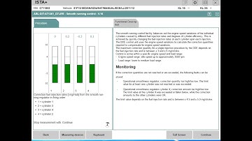 BMW ISTA/D - Fuel Injectors Test | Smooth Running | Replace/code injector | Diagnose | Clear errors