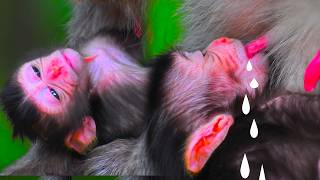 A little baby soft body try sleep in hand mom and drink milk from mom | Monkey Source screenshot 2
