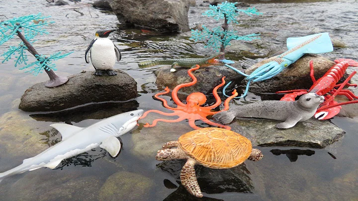 Learn Sea Animals Names with Toy Collection - DayDayNews