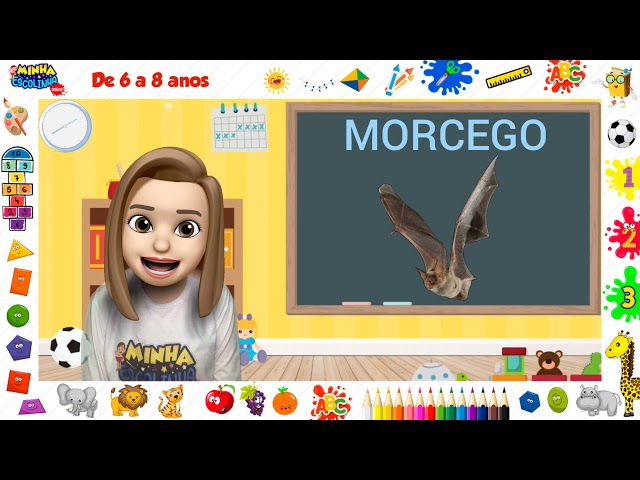 Animais de hábitos diurnos e noturnos - Vídeos educativos - Atividades para crianças
