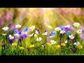 10 Hours Super Relaxing Baby Music ♥♥♥ Bedtime Lullaby For Sweet Dreams ♫♫♫ Sleep Music #Lullaby