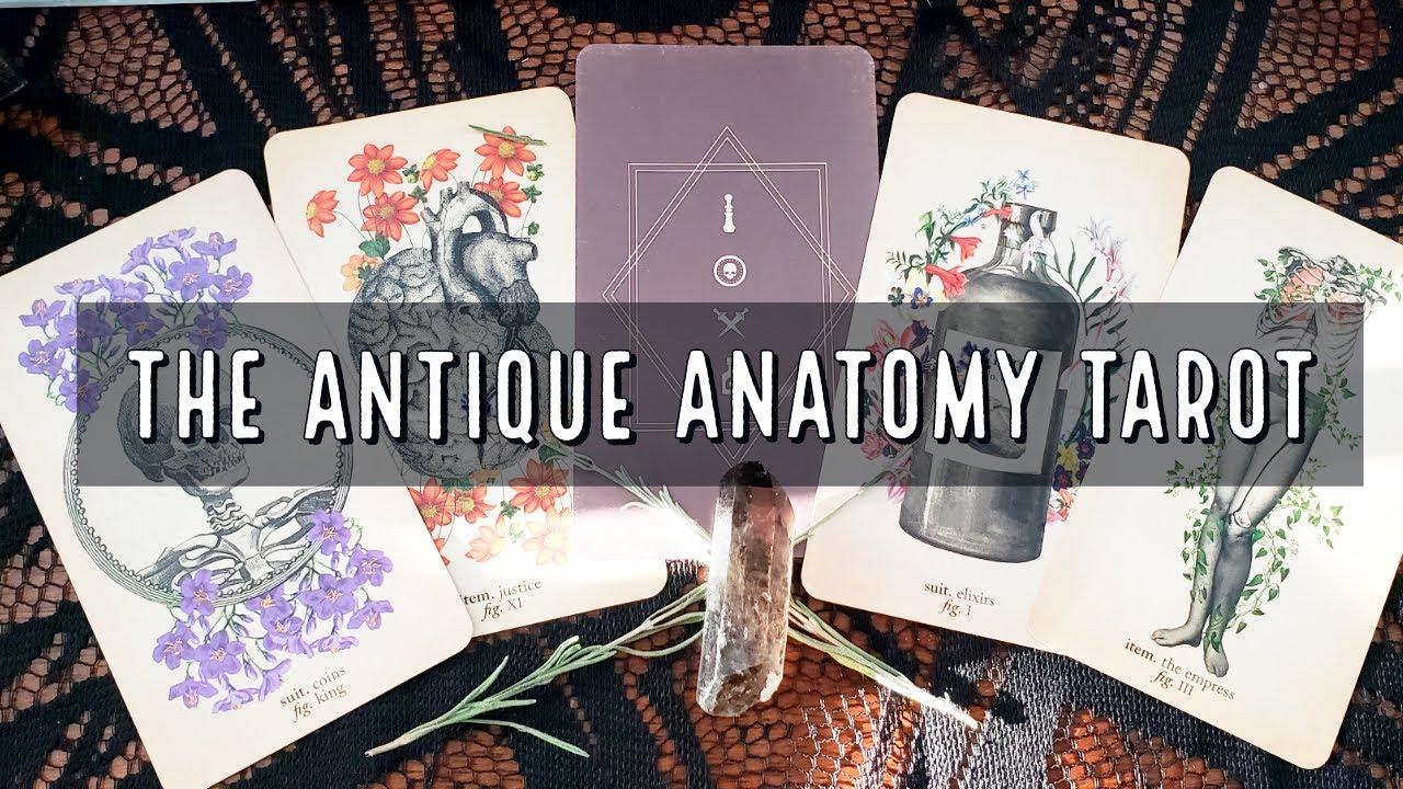 Price history & Review on The Antique Anatomy Tarot Cards English Version  tarot deck PDF Guidebook Board games for Women personal use - AliExpress  Seller - Shop910439280 Store - Alitools.io