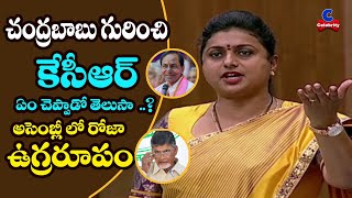 చంద్రబాబు గురించి కేసీఆర్ ఏం చెప్పాడో తెలుసా ..? MLA Roja Assembly Speech About AP Capital