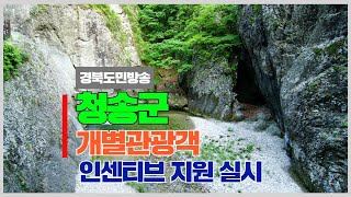청송군청 윤경희군수개별관광객 인센티브 지원 실시 경북포털 국민의소리