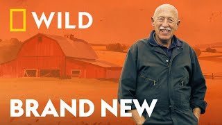 Dr. Pol's Jubilee Season in Farmland Michigan | The Incredible Dr Pol | National Geographic UK