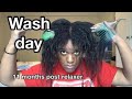 My  FULL wash day routine with TRANSITIONING HAIR *detailed* | peggypeg_