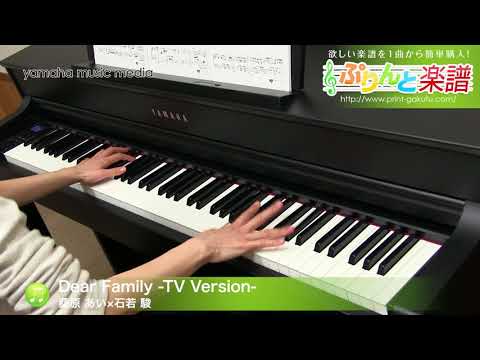 Dear Family-TV Version- 桑原 あい×石若 駿