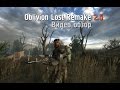 Обзор S.T.A.L.K.E.R.: Oblivion Lost Remake 2.5