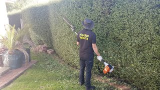 Famous Hedging, Hedge Works, Hedge Maintenance, Hedge Trimming, Hedge Cutting, Tree Trimming, Topiary Net Worth